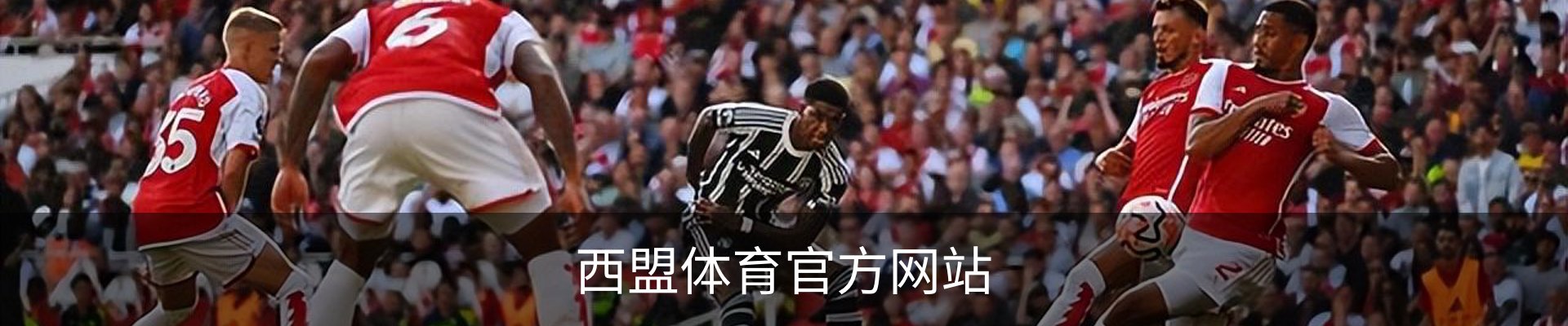 西盟体育官方网站 - 体育场地安全首页